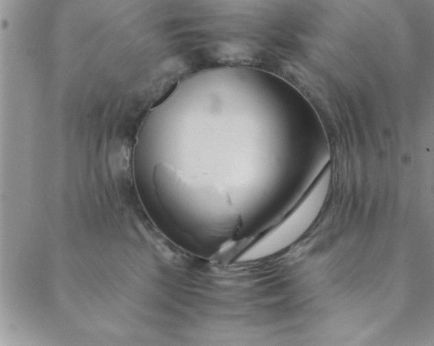 X0000088660281200706081710