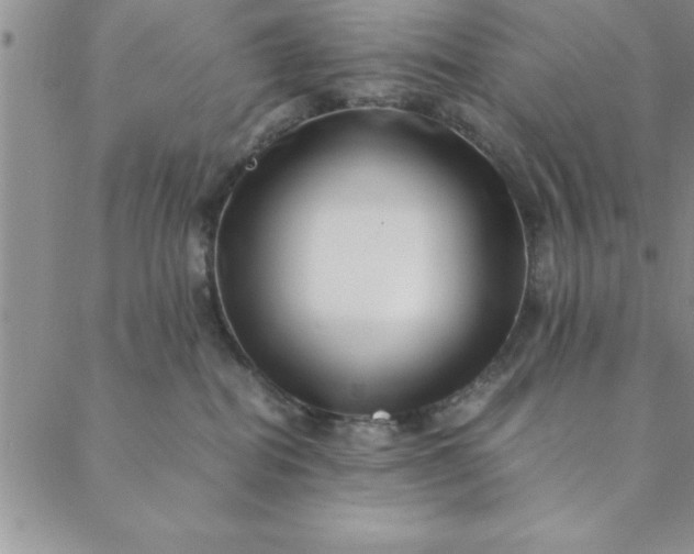 X0000088660282200706081710