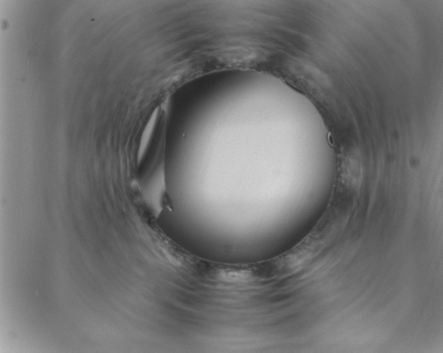 X0000088660283200706081710