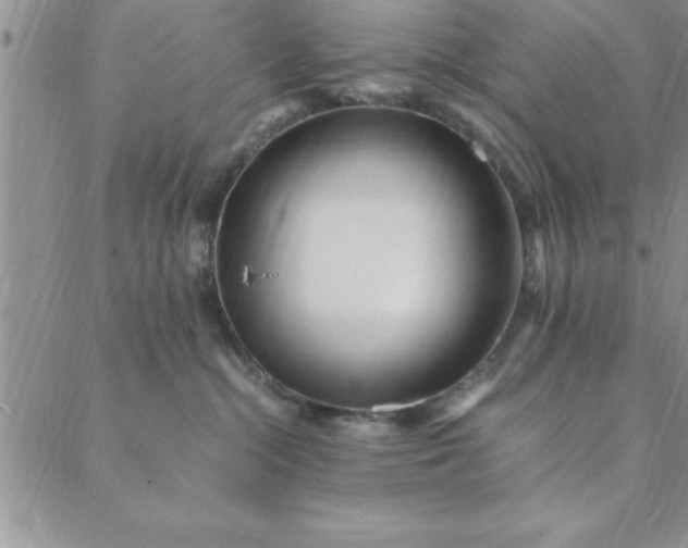 X0000088660284200706081710