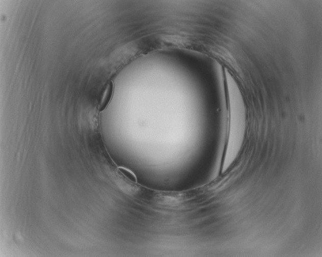 X0000088660285200706081710