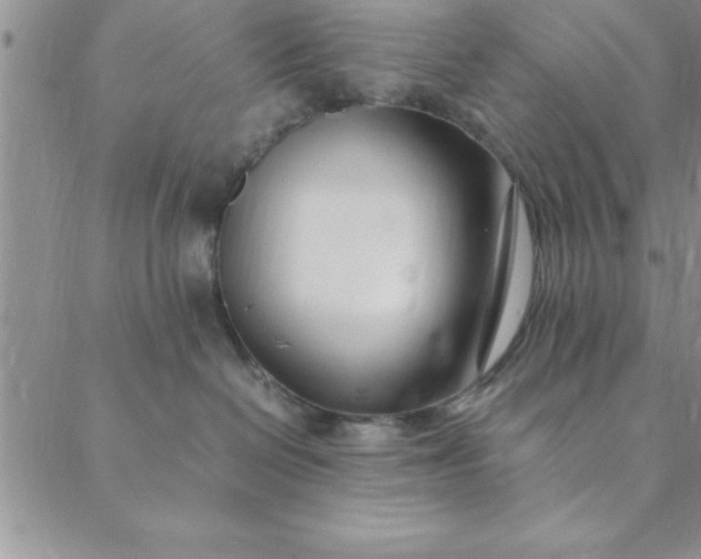 X0000088660286200706081710