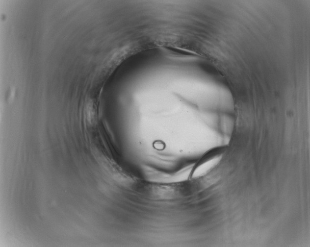 X0000088660287200706081710