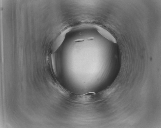 X0000088660288200706081710