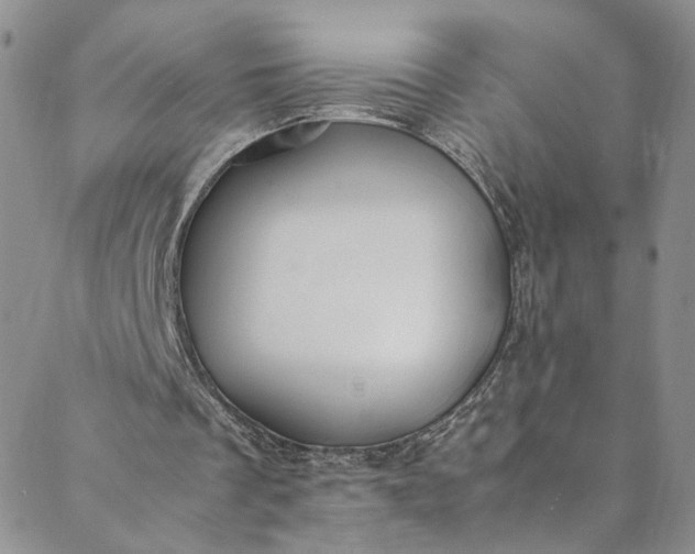 X0000088660289200706081709