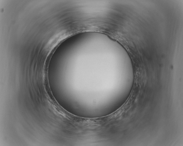 X0000088660290200706081709