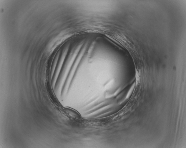 X0000088660291200706081709