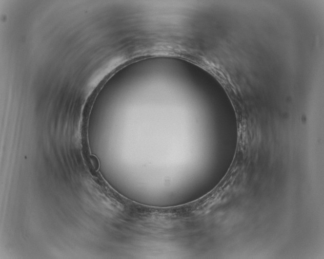 X0000088660292200706081709