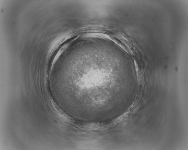 X0000088660293200706081709