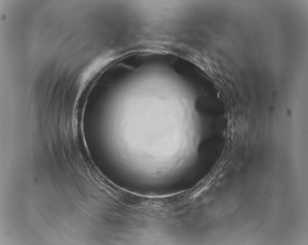 X0000088660294200706081709