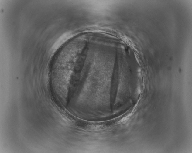 X0000088660295200706081709