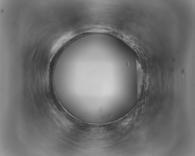 X0000088660296200706081709