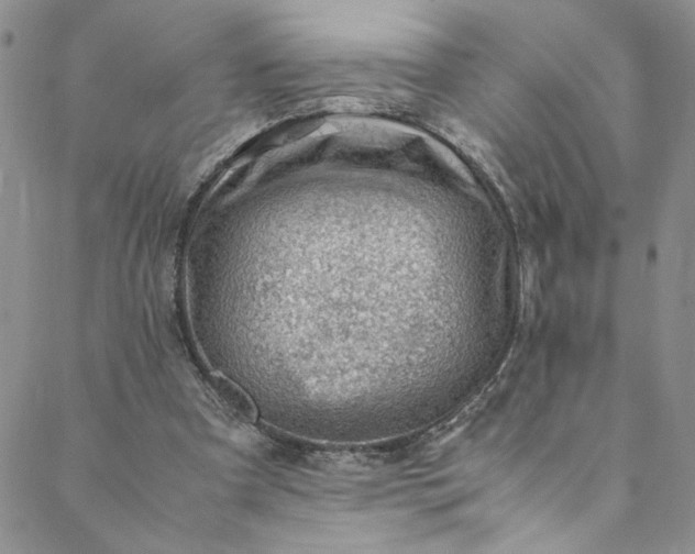 X0000088660297200706081709