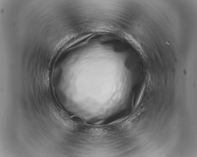 X0000088660298200706081709