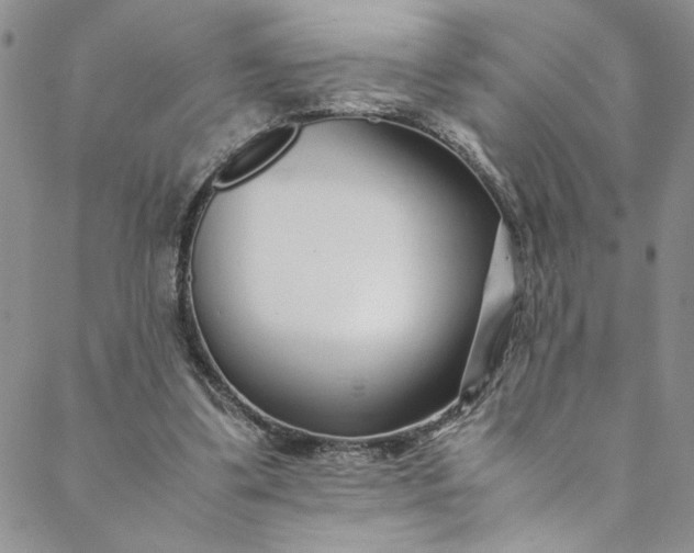 X0000088660299200706081709