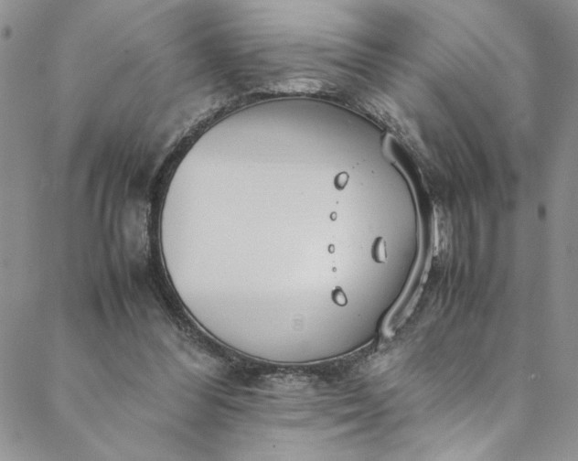 X0000088660300200706081709