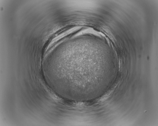 X0000088660301200706081709