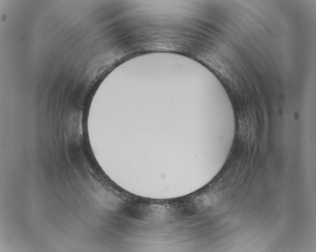 X0000088660302200706081709