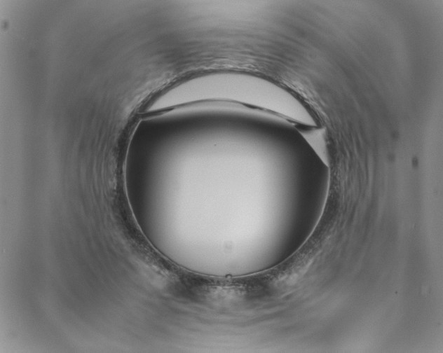 X0000088660303200706081709