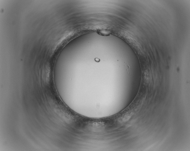 X0000088660304200706081709