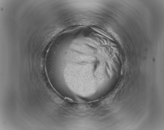 X0000088660305200706081709