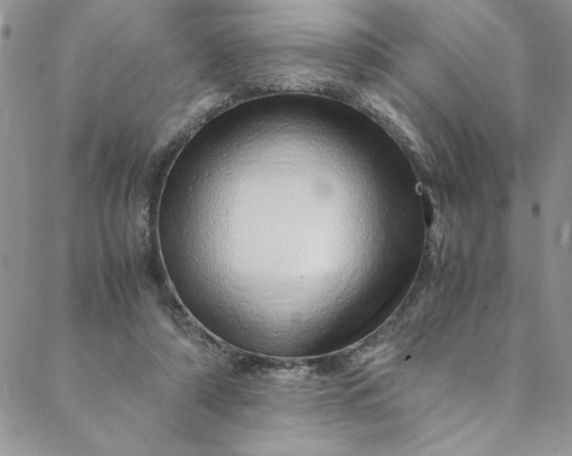 X0000088660306200706081709