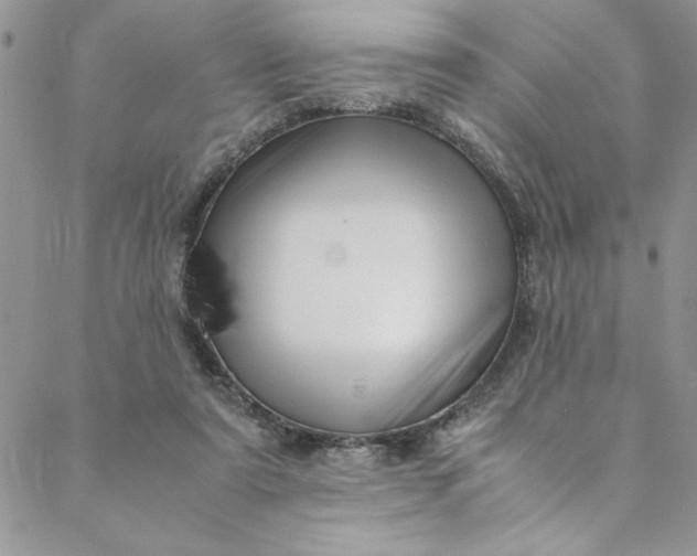 X0000088660307200706081709