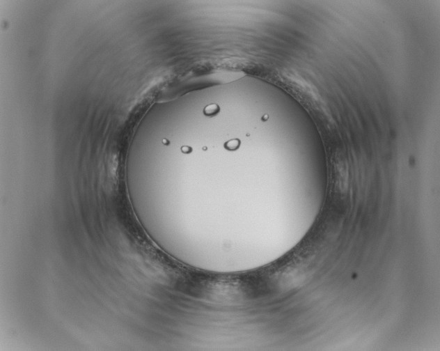 X0000088660308200706081709