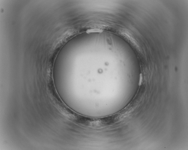 X0000088660309200706081709