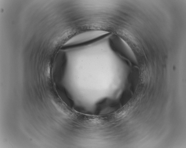 X0000088660310200706081709