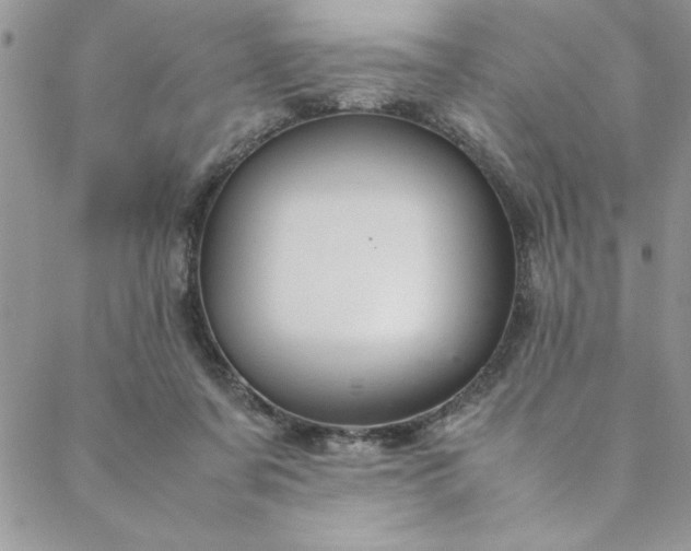 X0000088660311200706081709