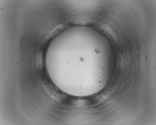 X0000088660312200706081709