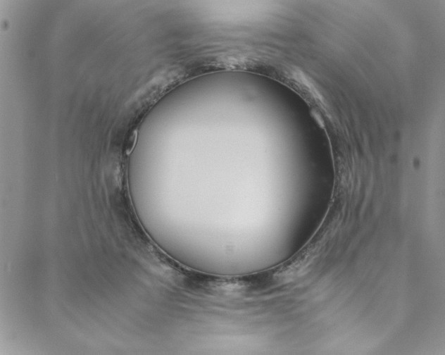 X0000088660313200706081709