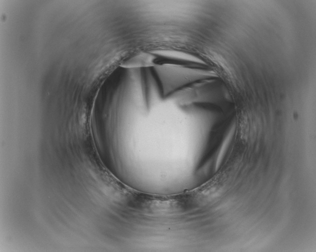 X0000088660314200706081709