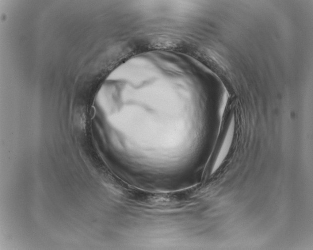 X0000088660315200706081709