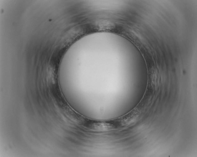 X0000088660316200706081709