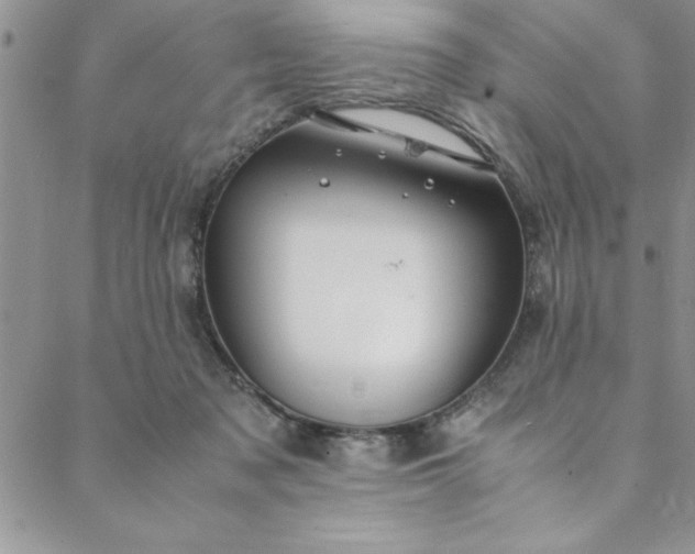 X0000088660317200706081709