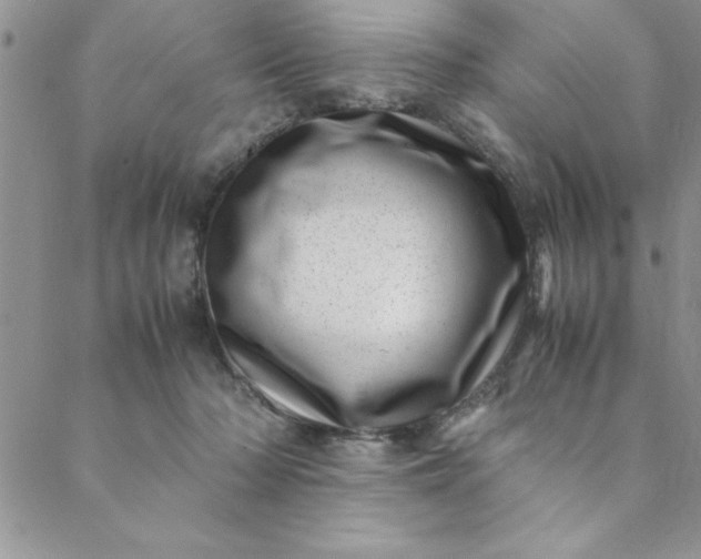 X0000088660318200706081709