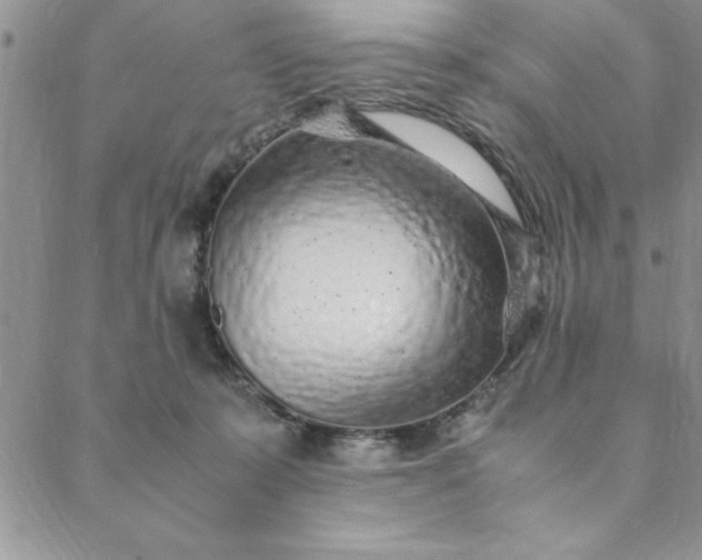 X0000088660319200706081709