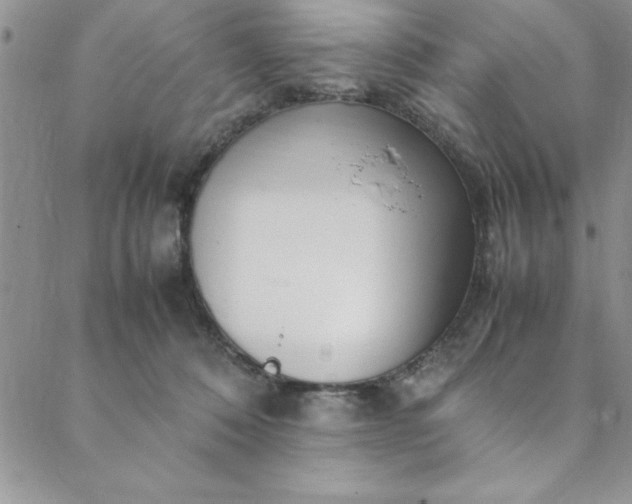 X0000088660320200706081709