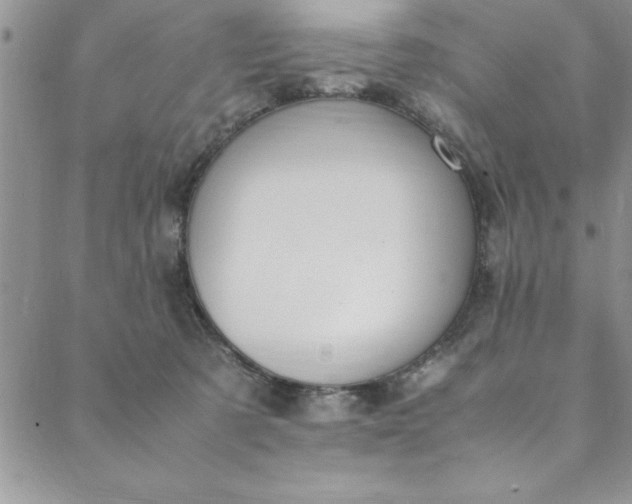 X0000088660321200706081709