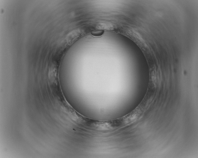 X0000088660322200706081709