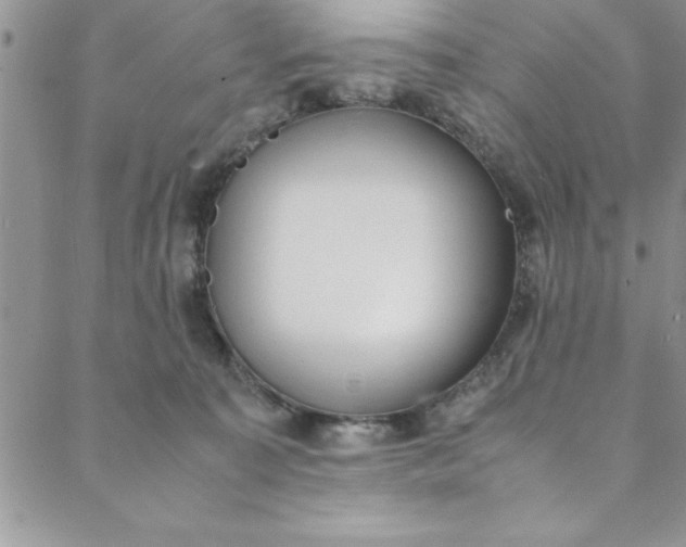 X0000088660323200706081709