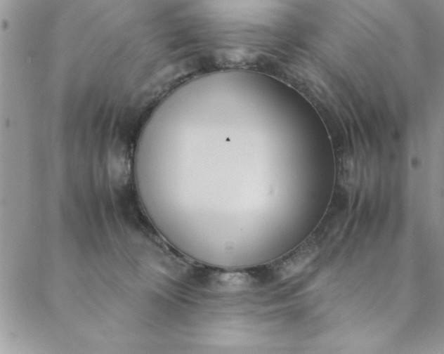 X0000088660324200706081709