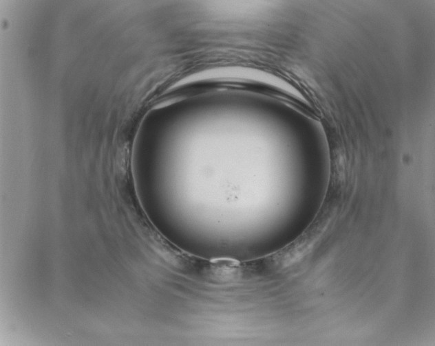 X0000088660325200706081709