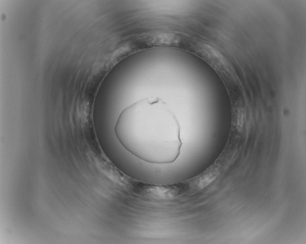 X0000088660326200706081709