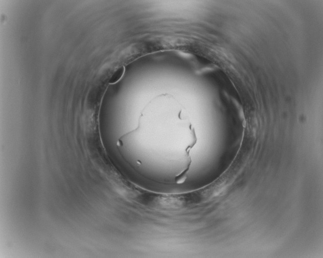 X0000088660327200706081709