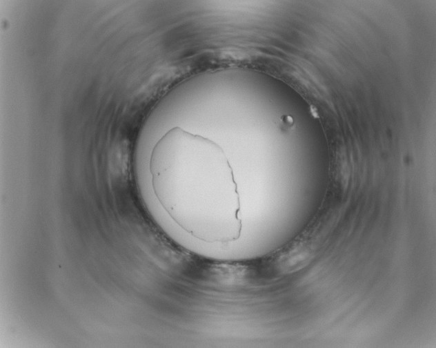 X0000088660328200706081709