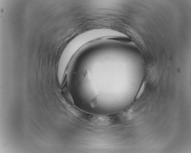 X0000088660329200706081709