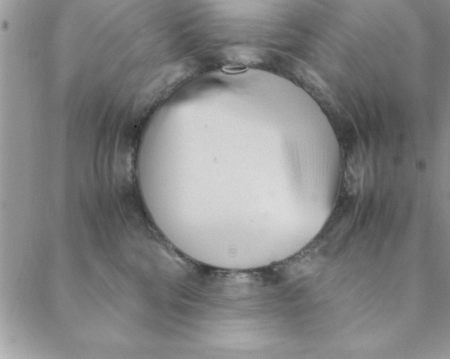 X0000088660330200706081709